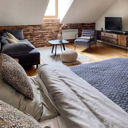Cozy And Warm Apartment In The Heart Of Karlsbad ภายนอก รูปภาพ